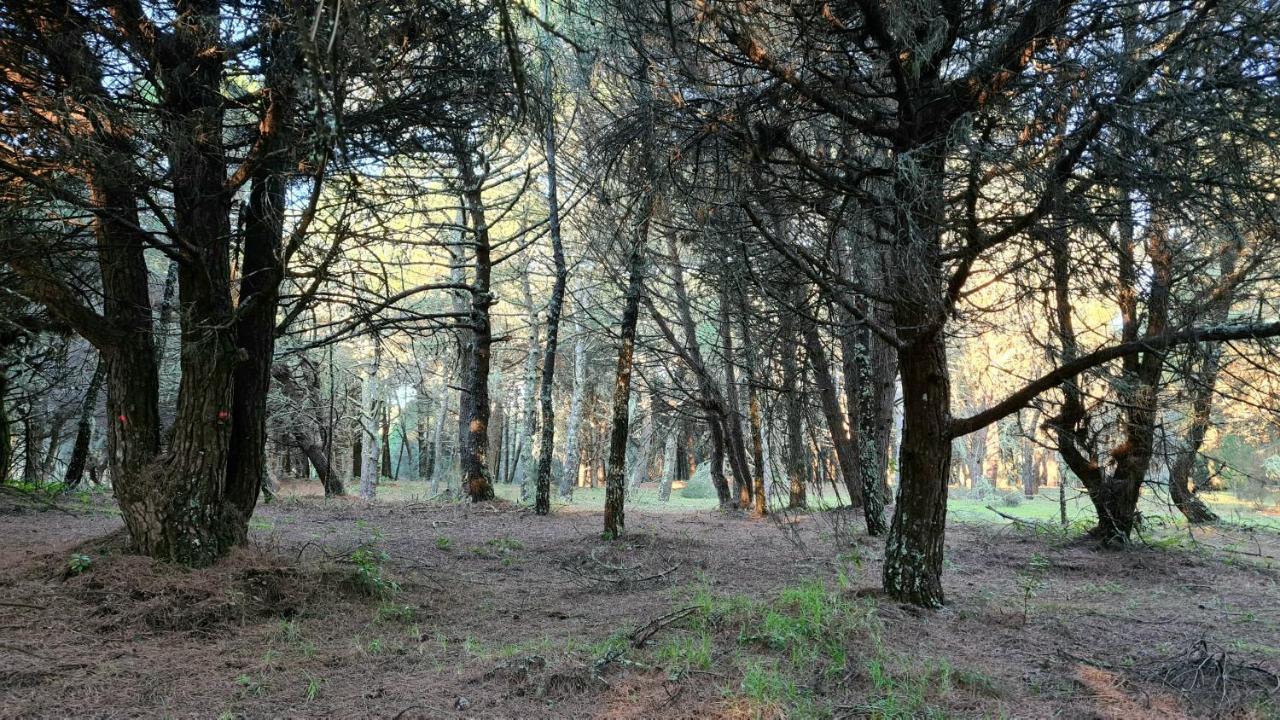 Casa Campelo - Playas De Pintens - - Ria De Aldan - Cangas Holiday home *